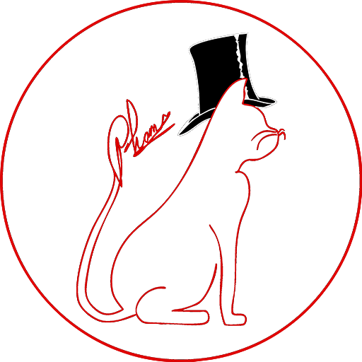 Stilisiertes Logo einer eleganten Katze mit Zylinderhut und künstlerischer Signatur – modernes, kreatives Erkennungszeichen für professionelle Fotografie mit Charakter.